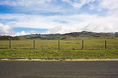 《红霞岛》翻车背后：领导一意孤行 员工很困惑